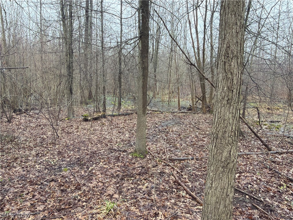Ninevah Road Geneva OH 44041