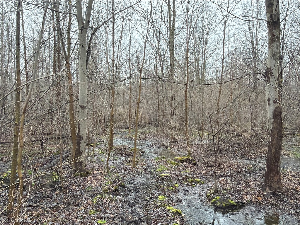Ninevah Road Geneva OH 44041