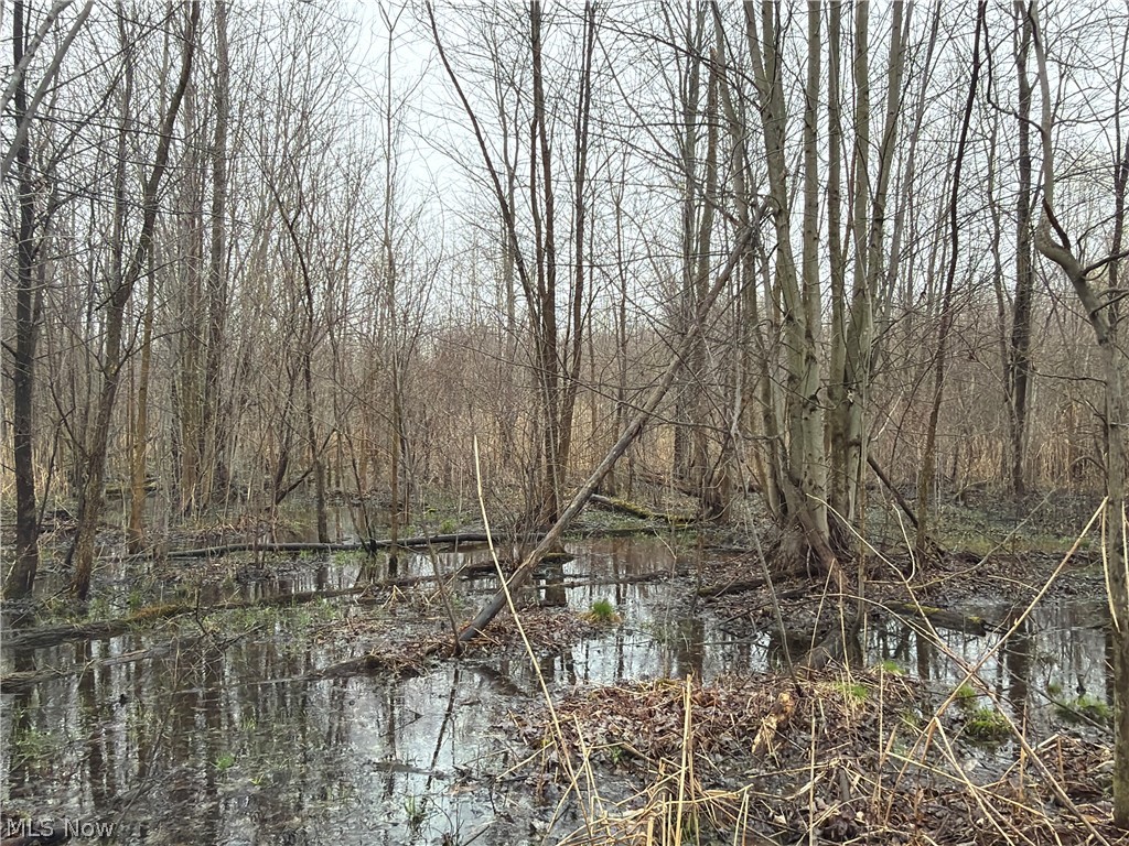Ninevah Road Geneva OH 44041