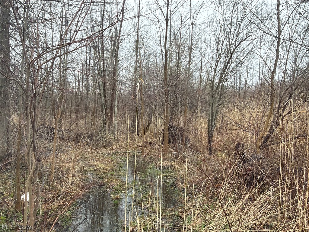 Ninevah Road Geneva OH 44041