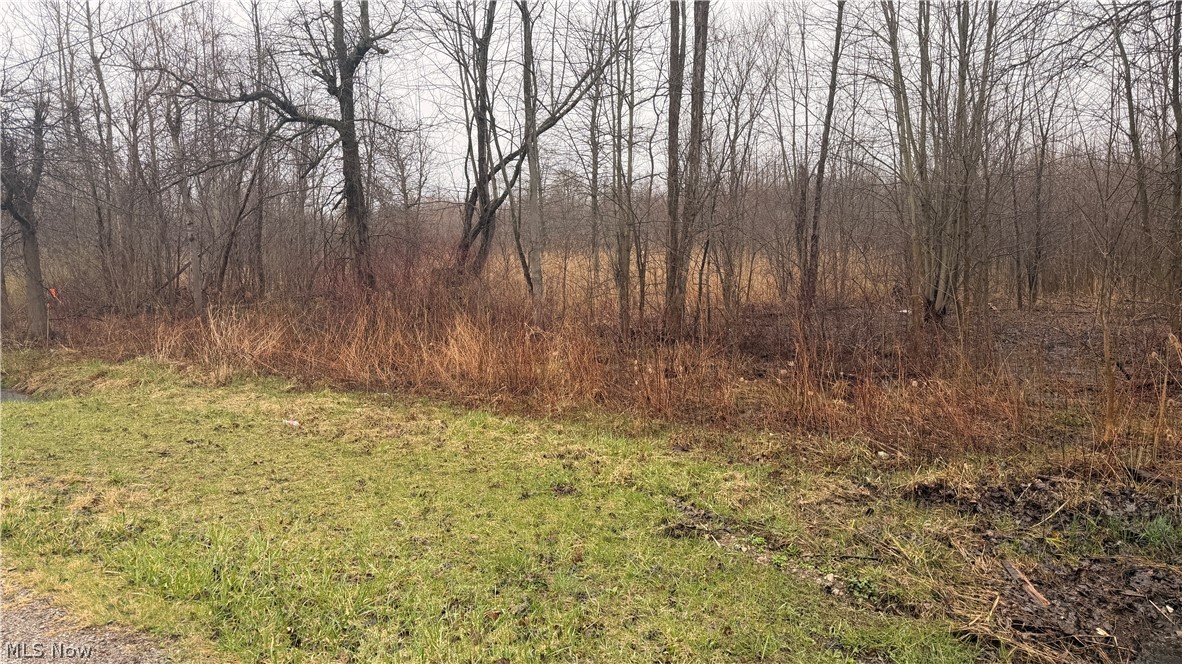 Ninevah Road Geneva OH 44041