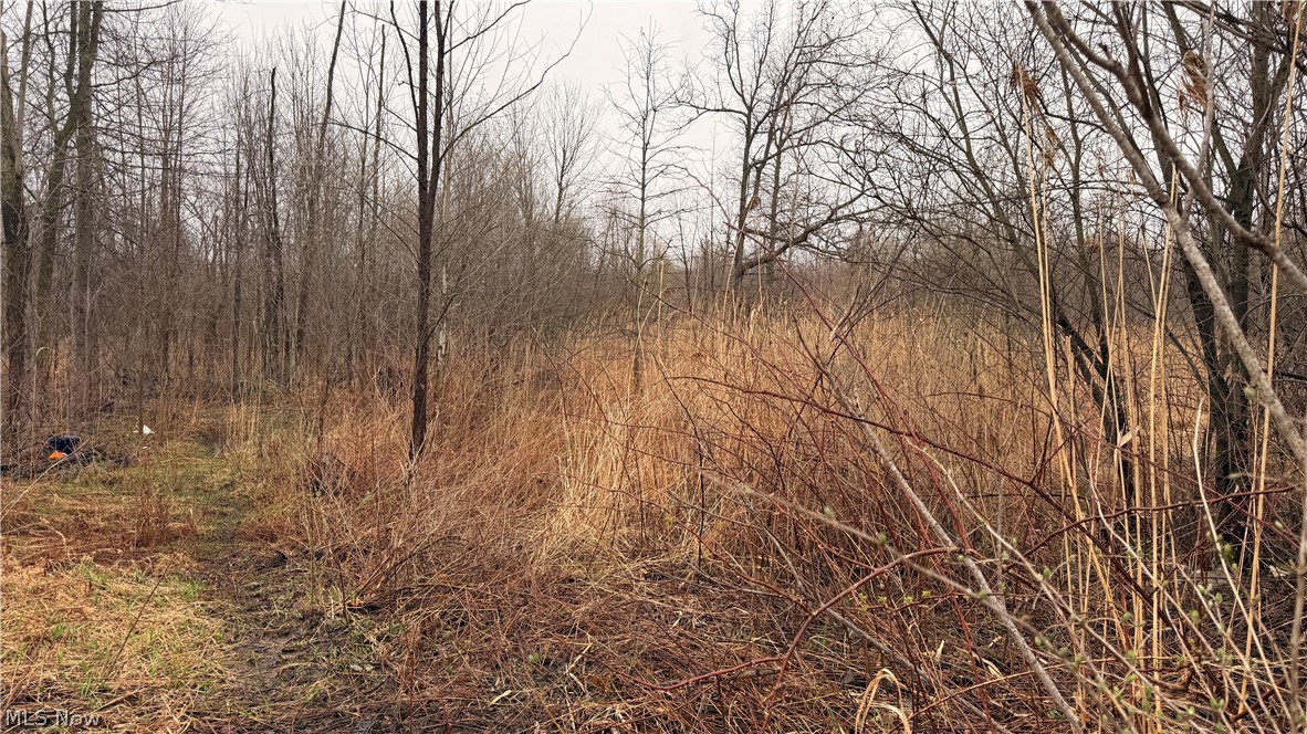 Ninevah Road Geneva OH 44041