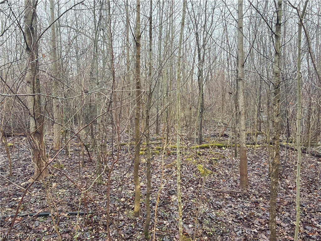 Ninevah Road Geneva OH 44041