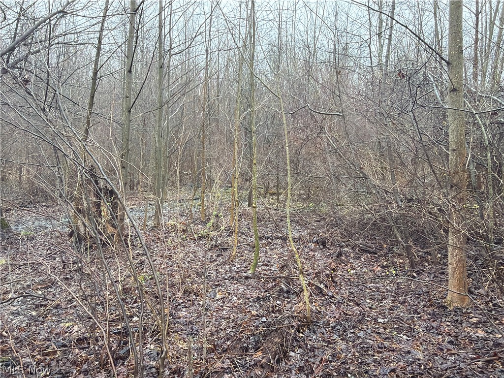 Ninevah Road Geneva OH 44041