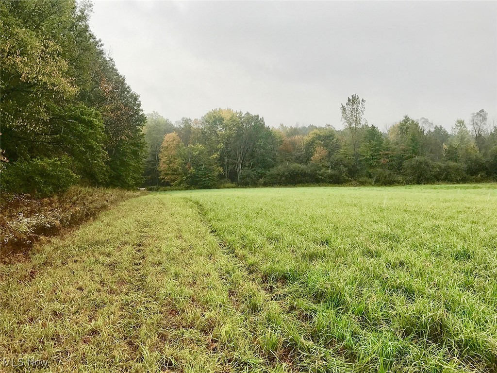 Bryant Garrettsville OH 44231