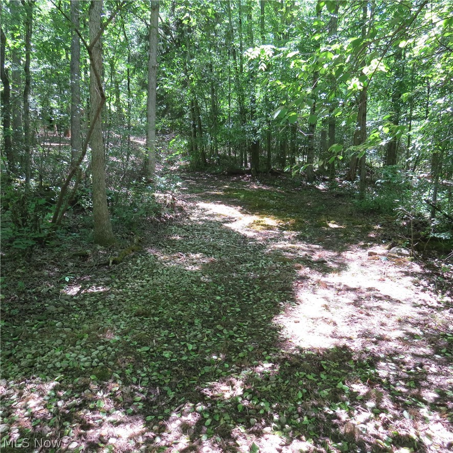 Montero Road NE Carrollton OH 44615
