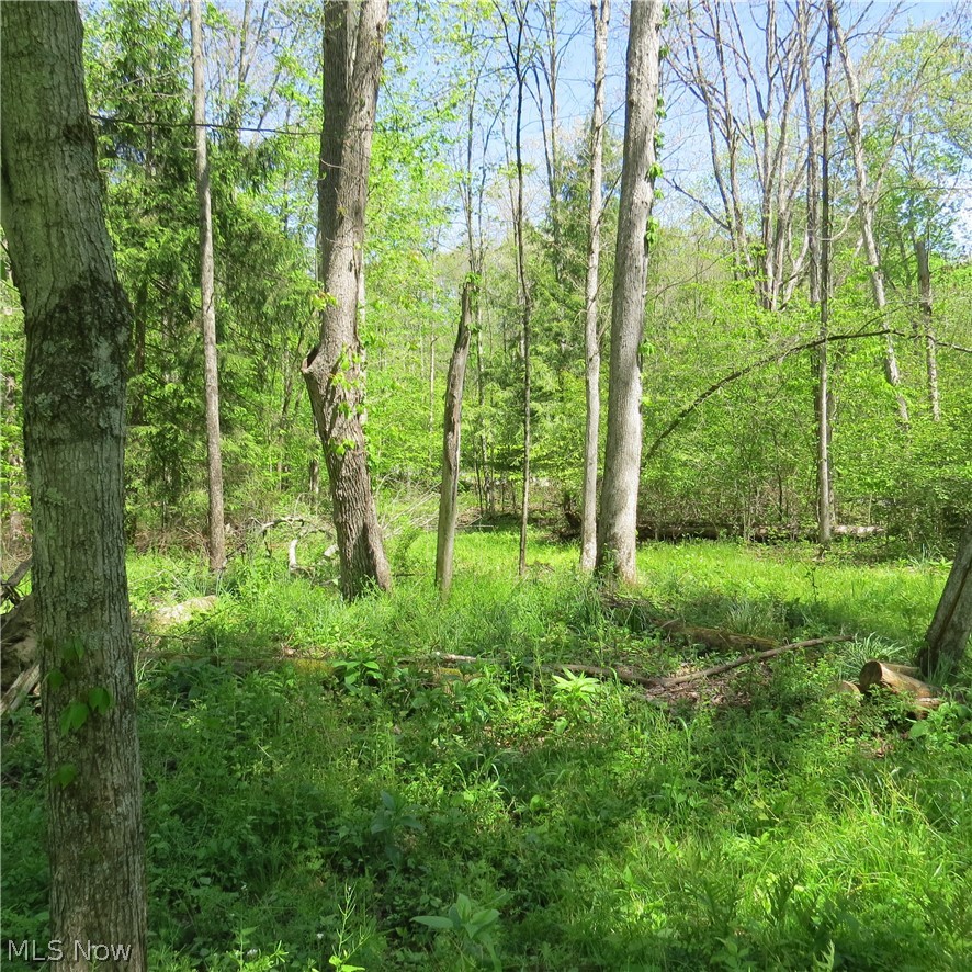 Montero Road NE Carrollton OH 44615