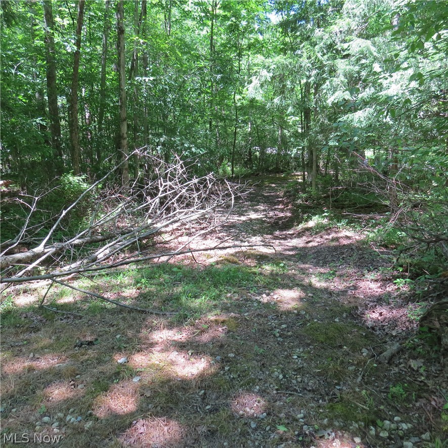 Montero Road NE Carrollton OH 44615