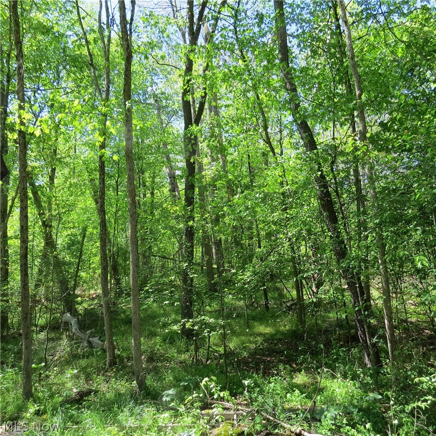 Montero Road NE Carrollton OH 44615