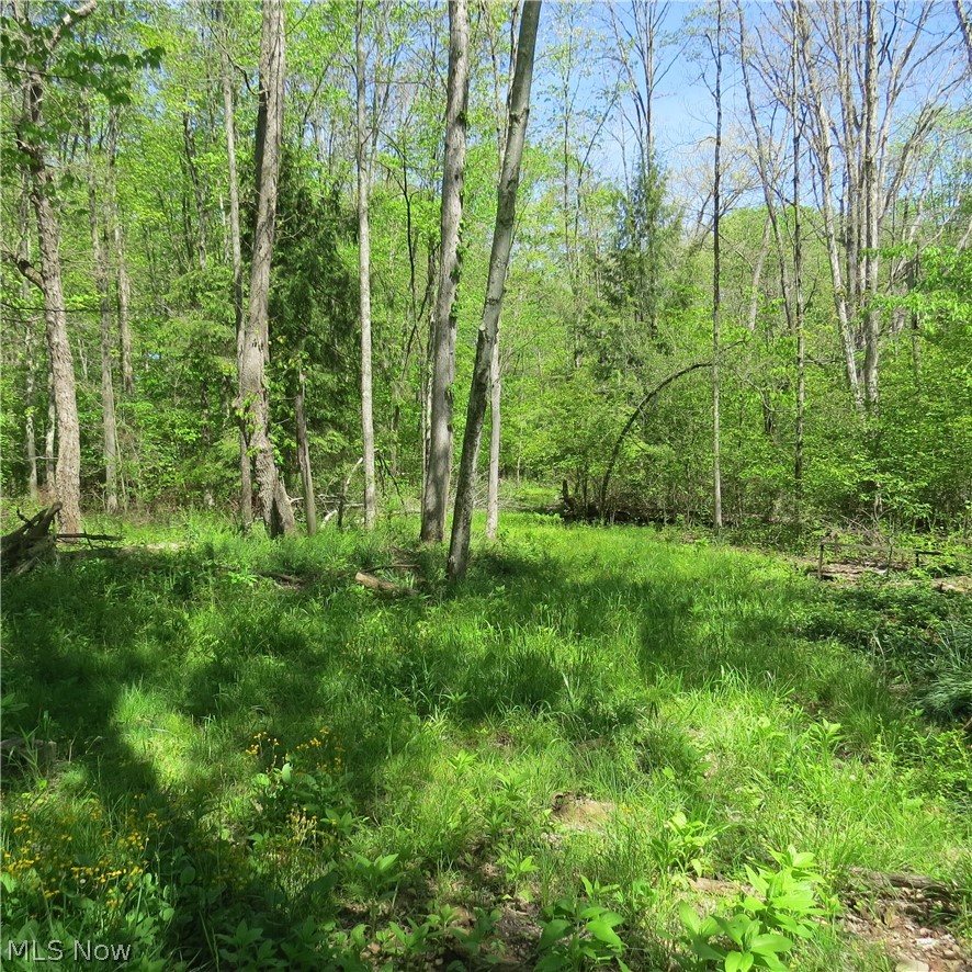 Montero Road NE Carrollton OH 44615
