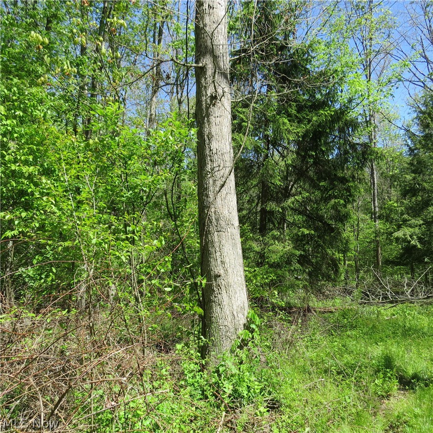 Montero Road NE Carrollton OH 44615