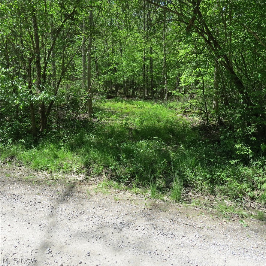 Montero Road NE Carrollton OH 44615