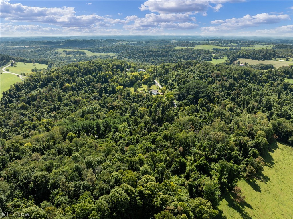 55541 Barnes Road Martins Ferry OH 43935