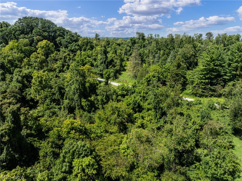 55541 Barnes Road Martins Ferry OH 43935