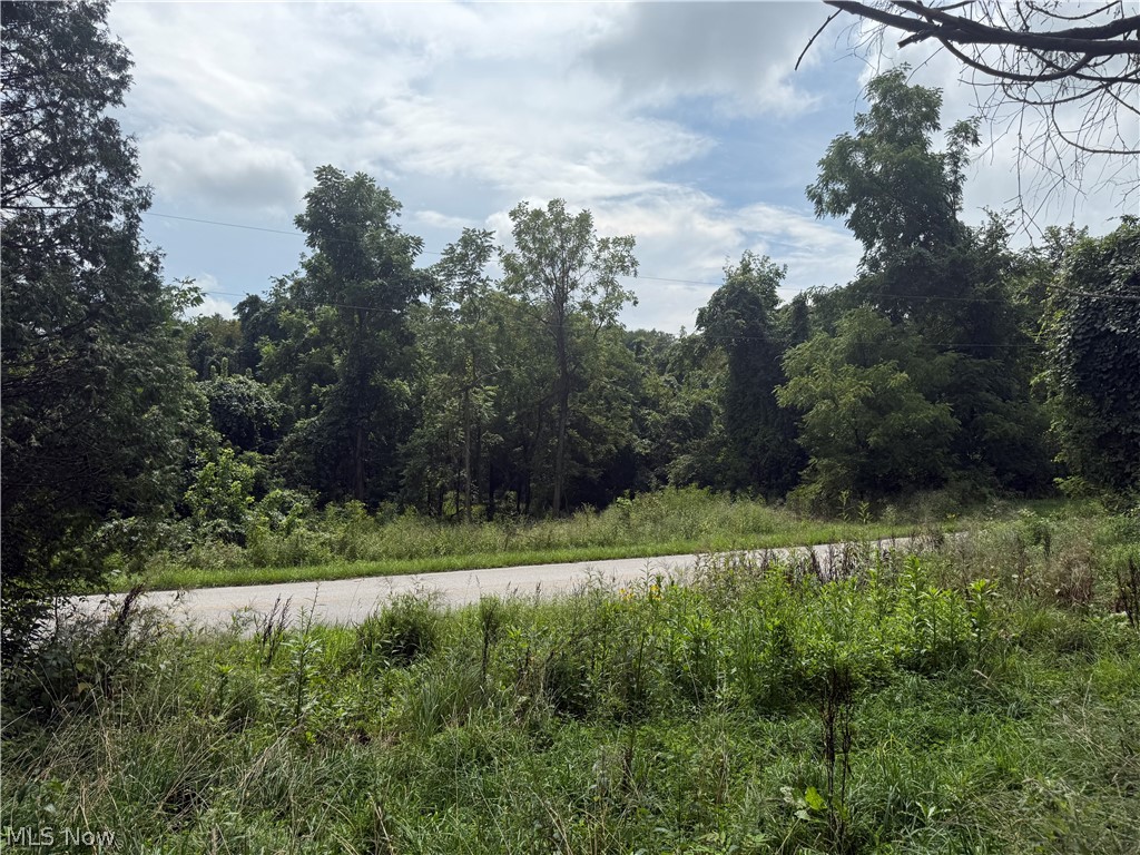 55541 Barnes Road Martins Ferry OH 43935