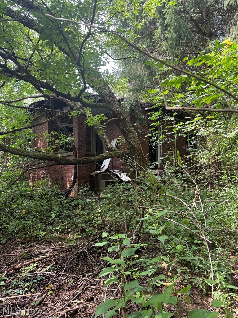 55541 Barnes Road Martins Ferry OH 43935