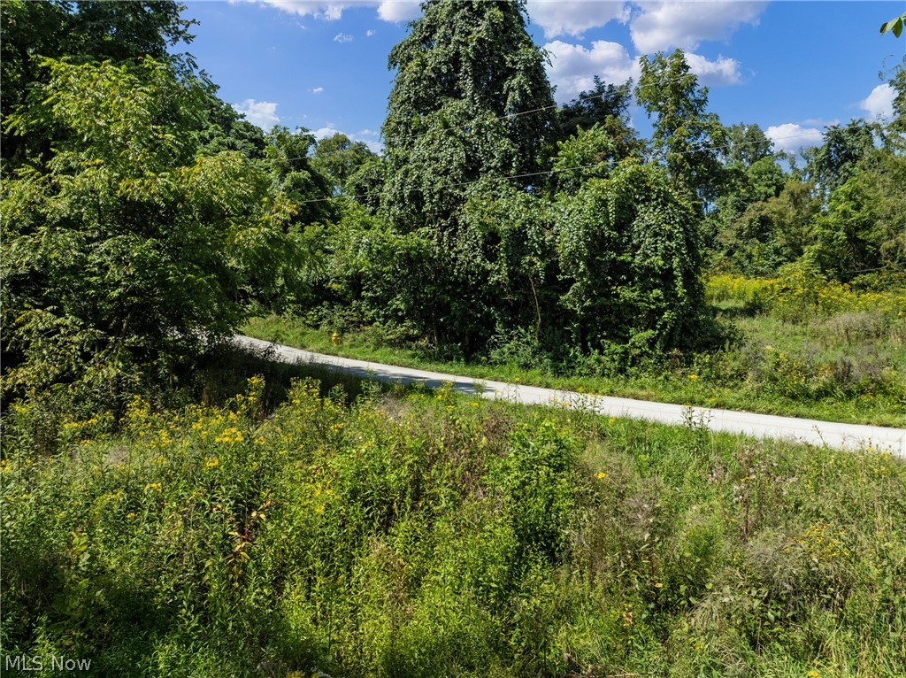 55541 Barnes Road Martins Ferry OH 43935