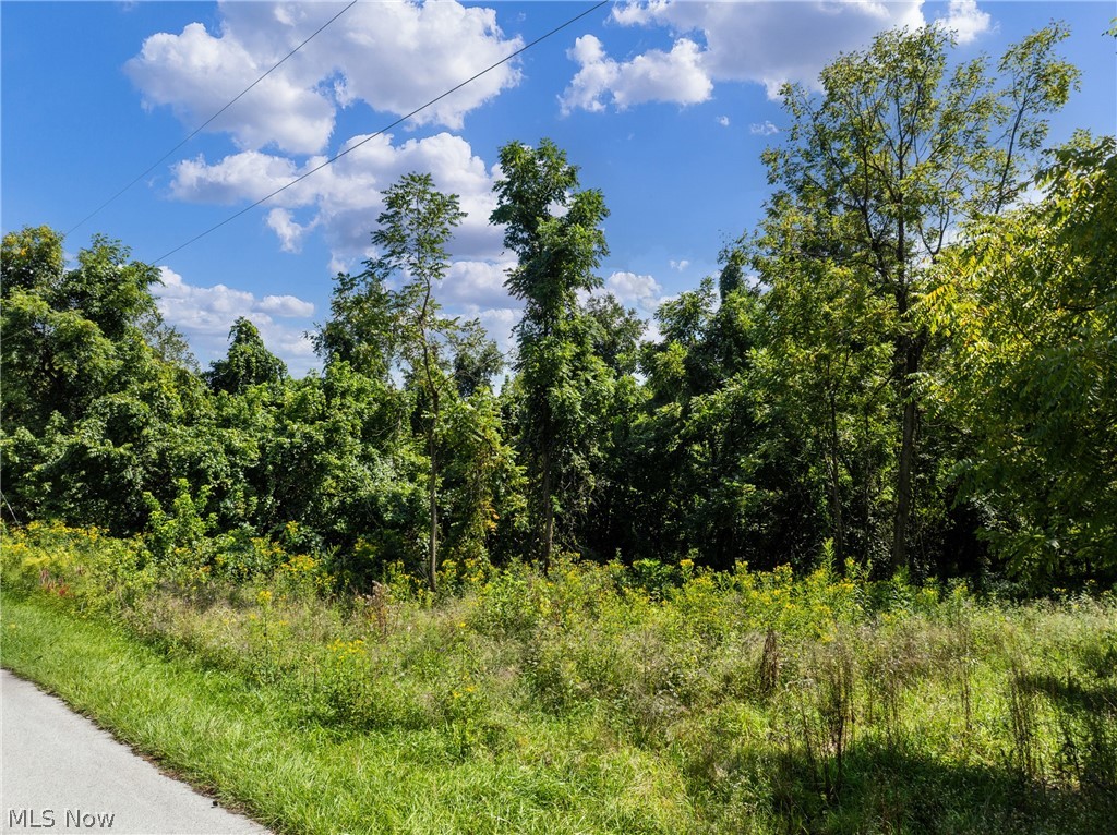 55541 Barnes Road Martins Ferry OH 43935