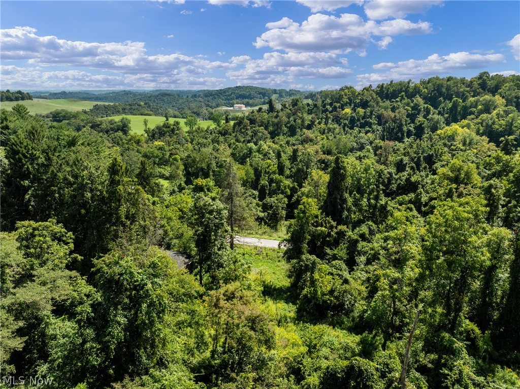 55541 Barnes Road Martins Ferry OH 43935