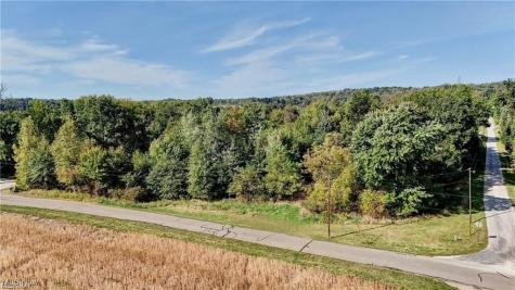 Shetler Avenue SW Navarre OH 44662