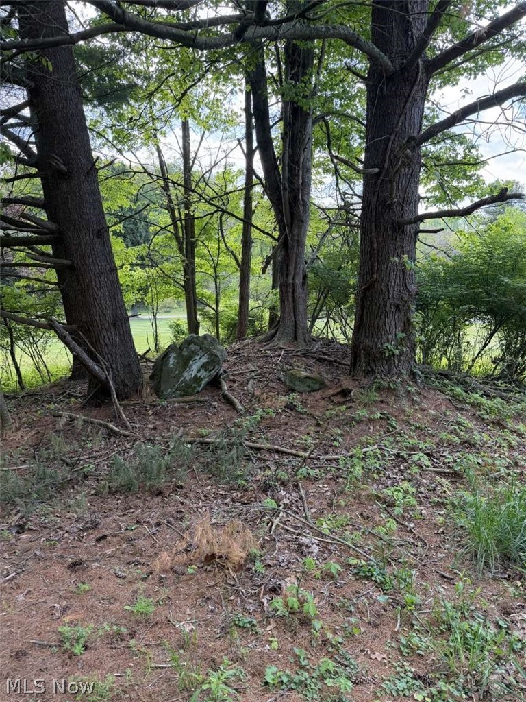 0 Township Road 1193 Coshocton OH 43812
