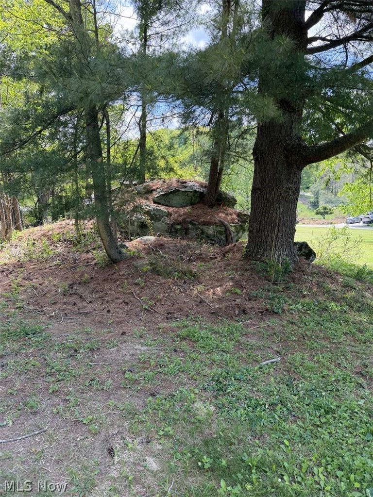 0 Township Road 1193 Coshocton OH 43812