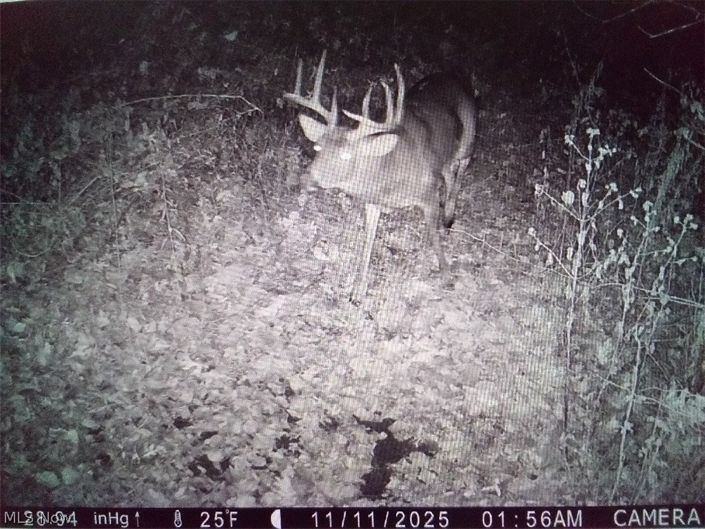 52740 Cr 425 Fresno OH 43824