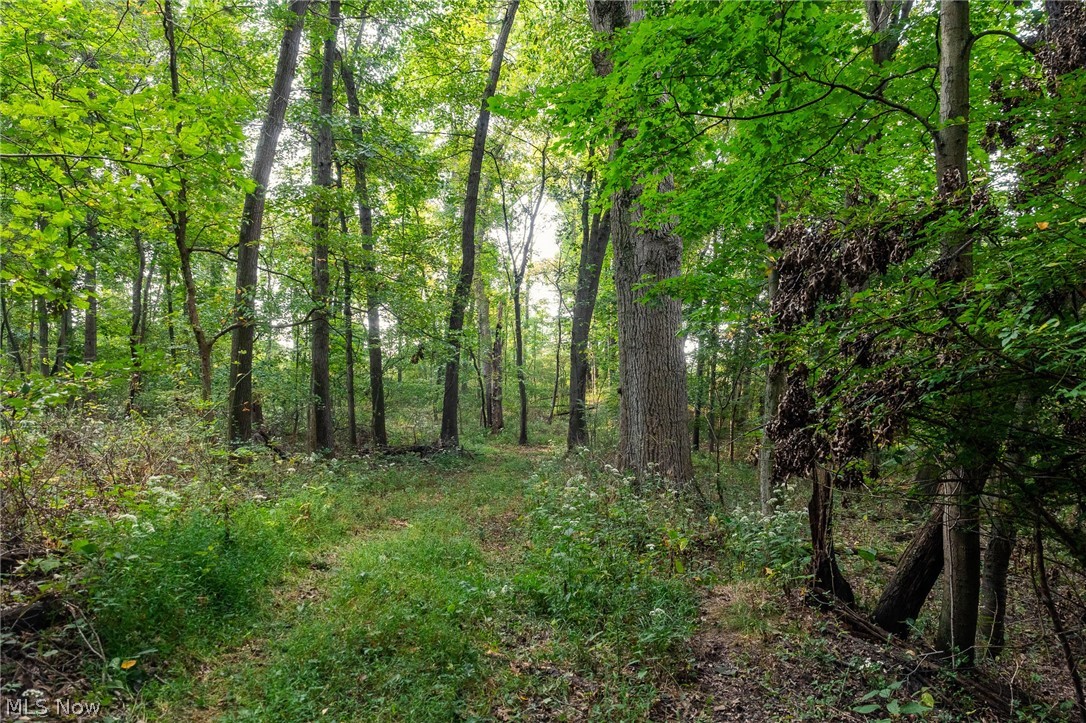 10772 Lawndell Road SW Navarre OH 44608