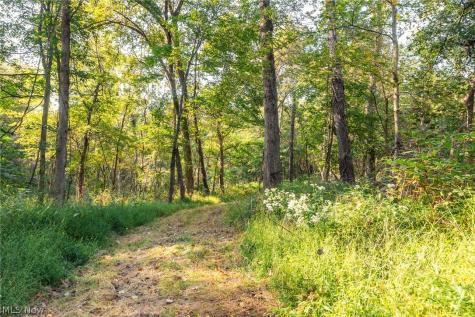 10772 Lawndell Road SW Navarre OH 44608