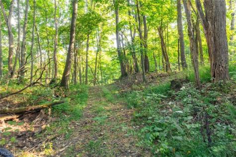 10772 Lawndell Road SW Navarre OH 44608