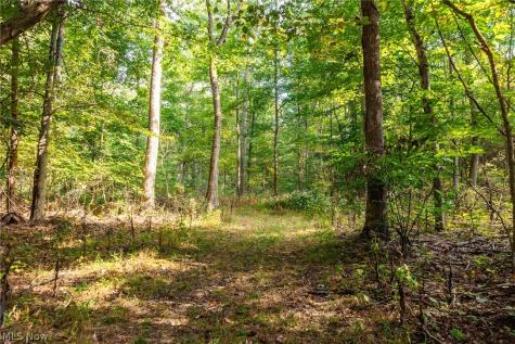 10772 Lawndell Road SW Navarre OH 44608