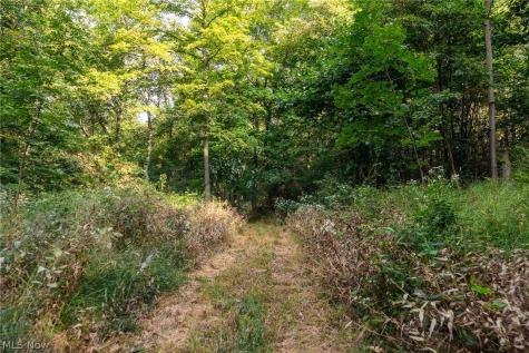 10772 Lawndell Road SW Navarre OH 44608