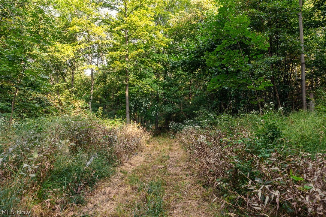 10772 Lawndell Road SW Navarre OH 44608