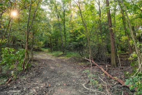 10772 Lawndell Road SW Navarre OH 44608