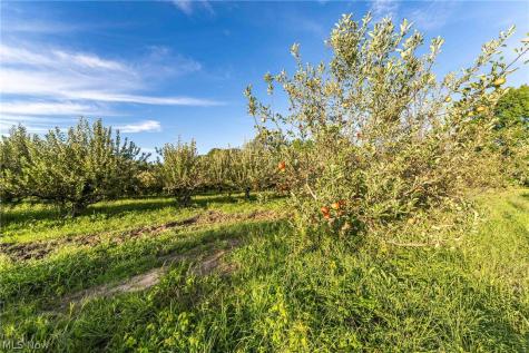 4597 Laubert Road Atwater OH 44201
