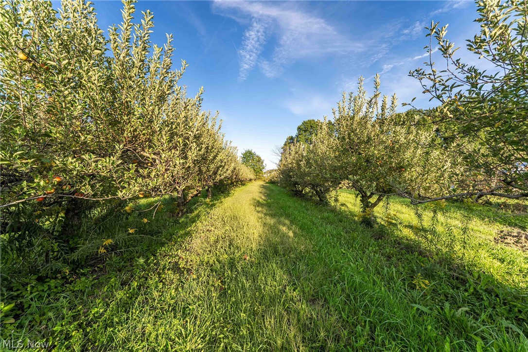 4597 Laubert Road Atwater OH 44201