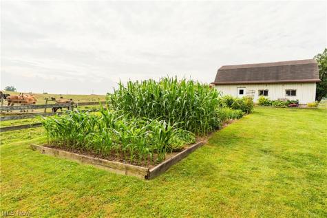 6520 County Road 77 Millersburg OH 44654