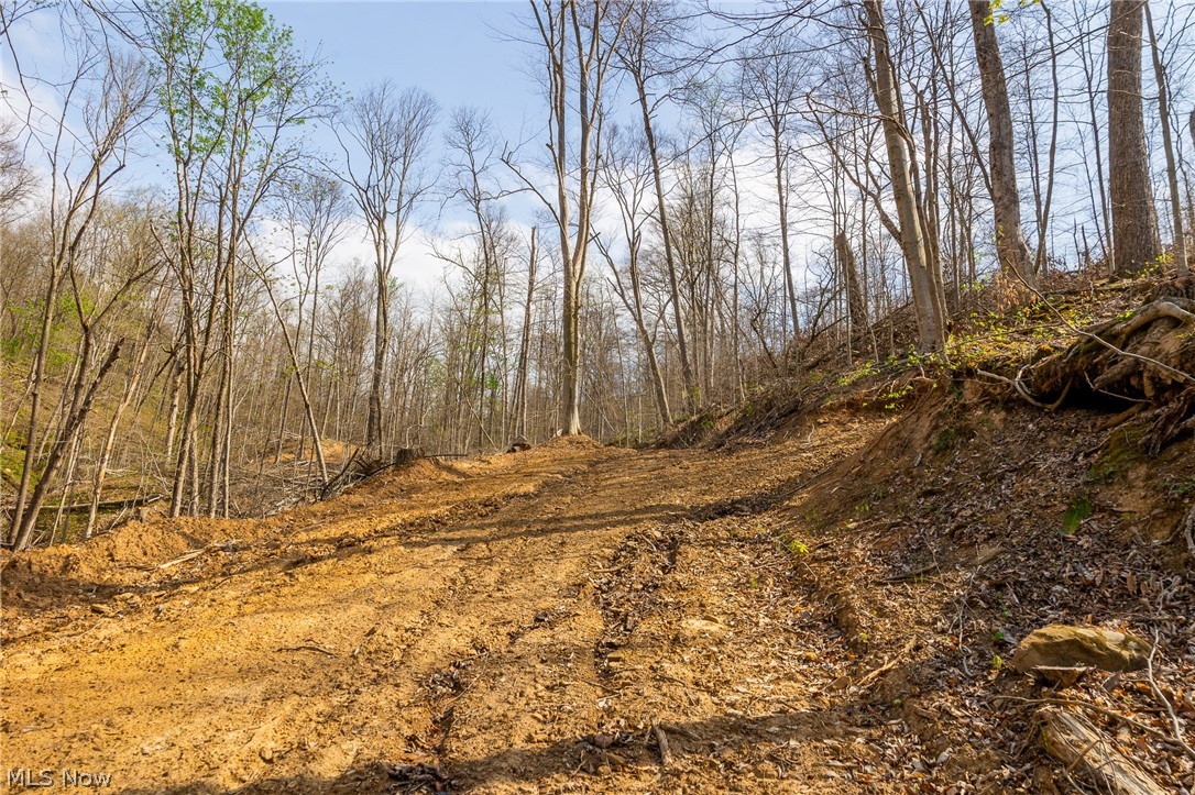 0 Twp Rd 63 Deans Fork Road Whipple OH 45788
