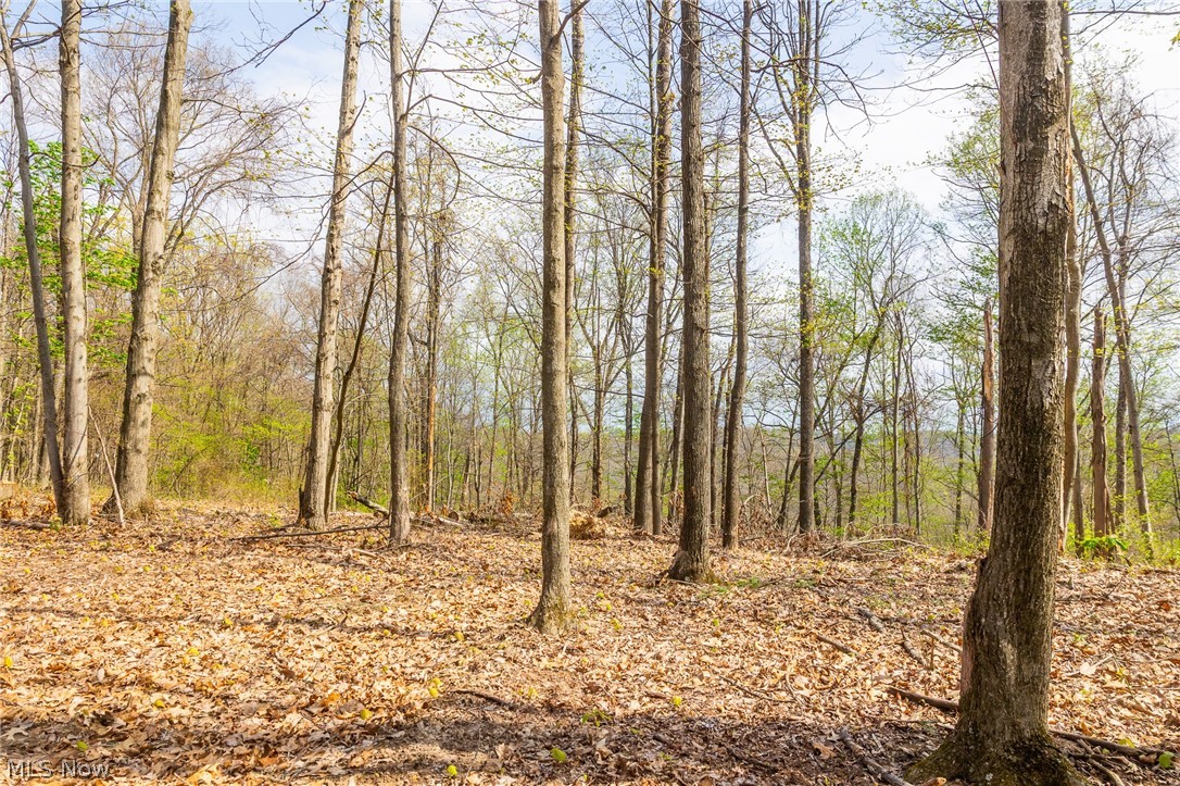 0 Twp Rd 63 Deans Fork Road Whipple OH 45788