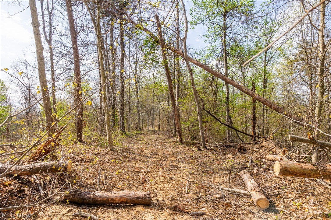 0 Twp Rd 63 Deans Fork Road Whipple OH 45788