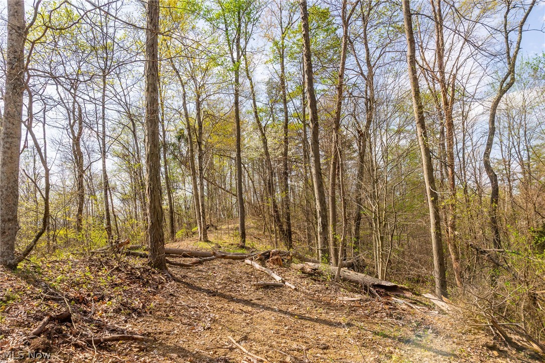 0 Twp Rd 63 Deans Fork Road Whipple OH 45788