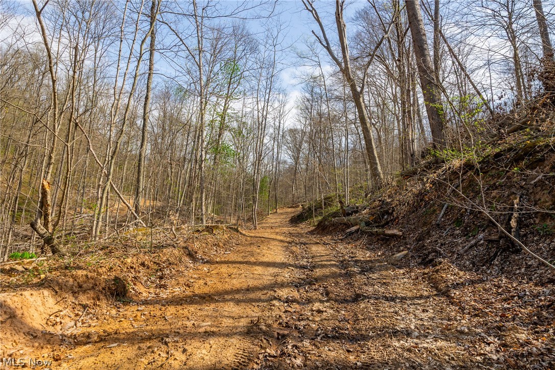 0 Twp Rd 63 Deans Fork Road Whipple OH 45788