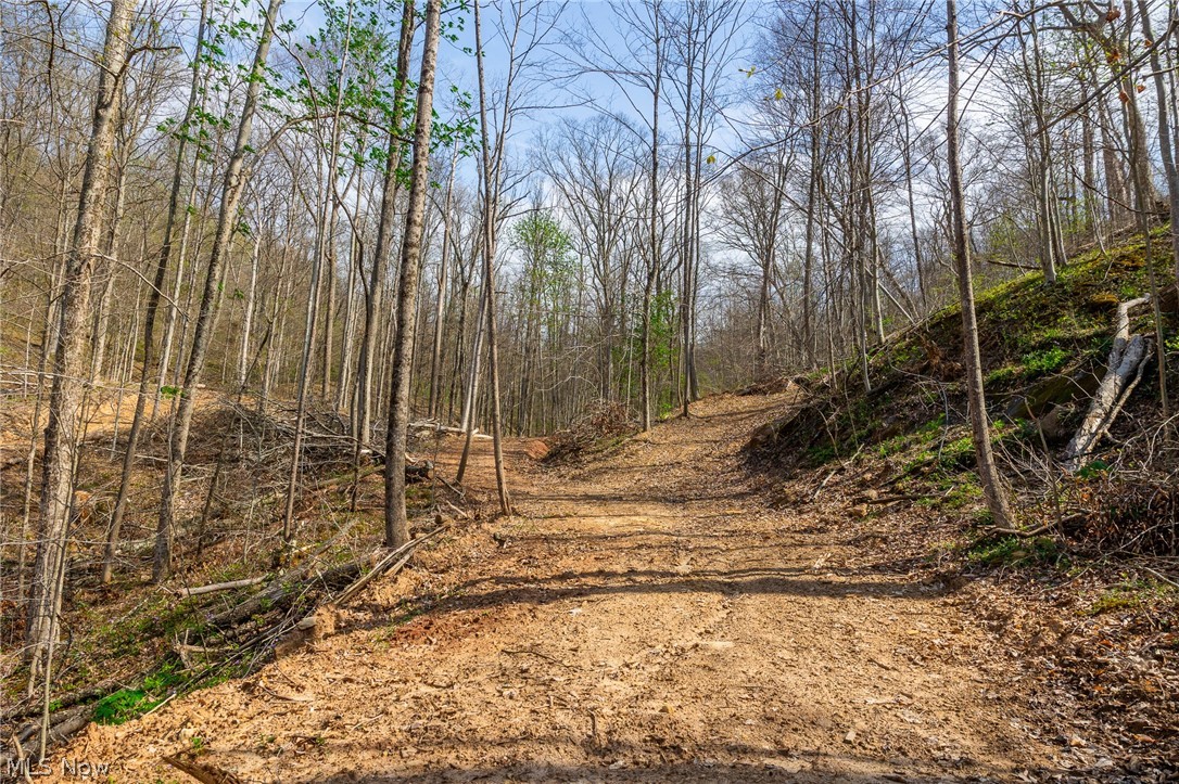 0 Twp Rd 63 Deans Fork Road Whipple OH 45788
