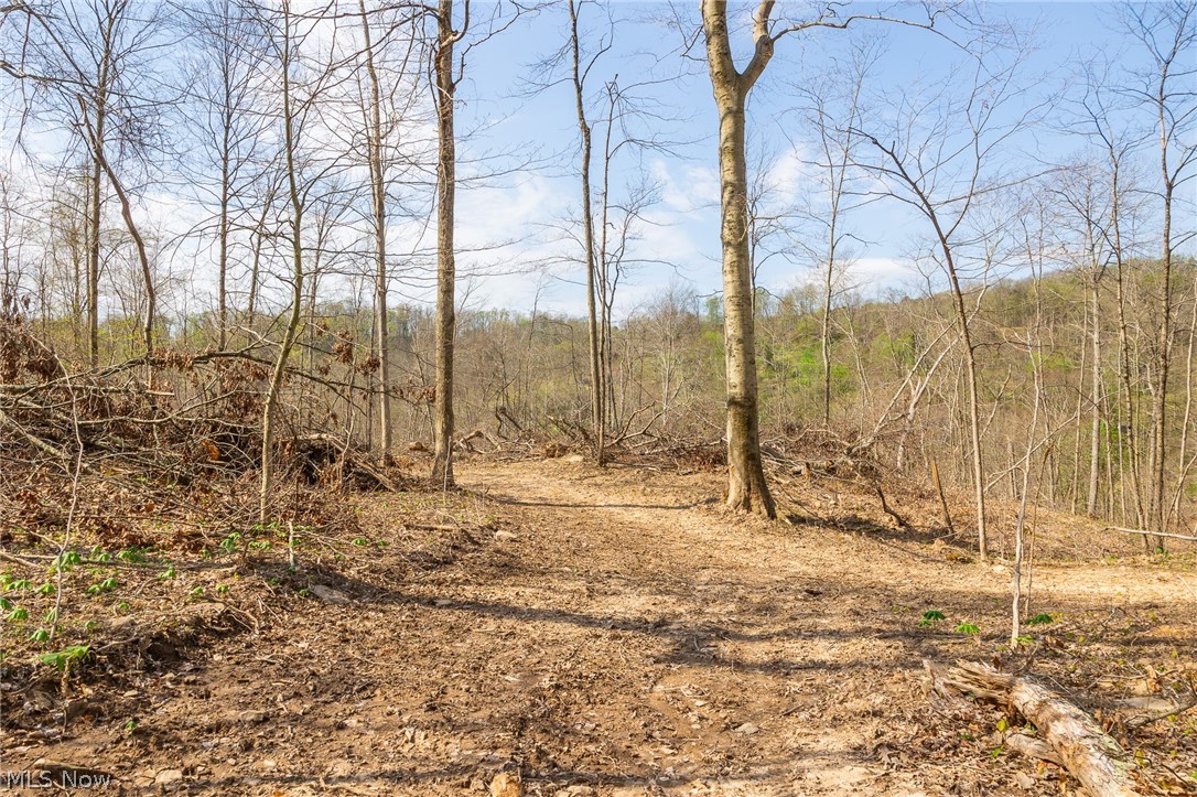 0 Twp Rd 63 Deans Fork Road Whipple OH 45788