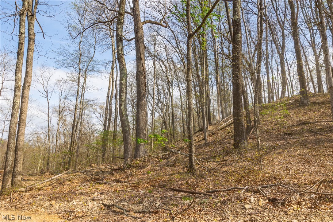 0 Twp Rd 63 Deans Fork Road Whipple OH 45788