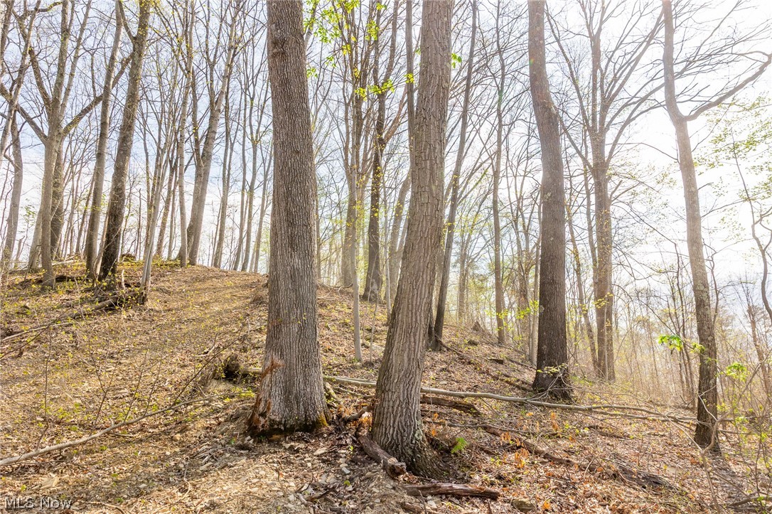 0 Twp Rd 63 Deans Fork Road Whipple OH 45788