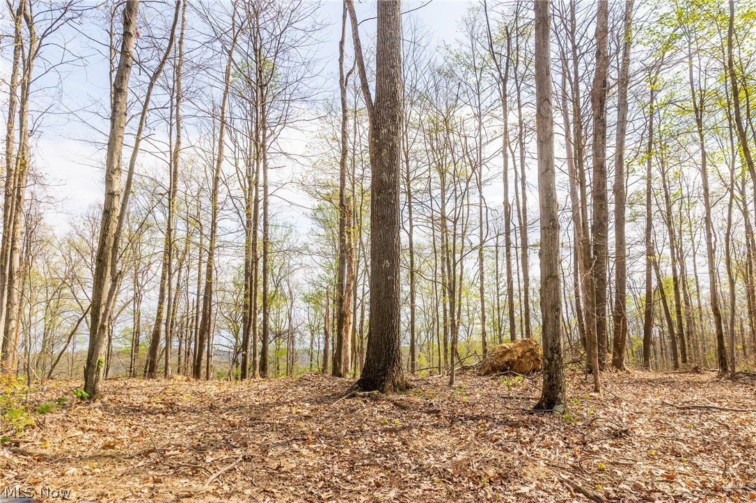 0 Twp Rd 63 Deans Fork Road Whipple OH 45788