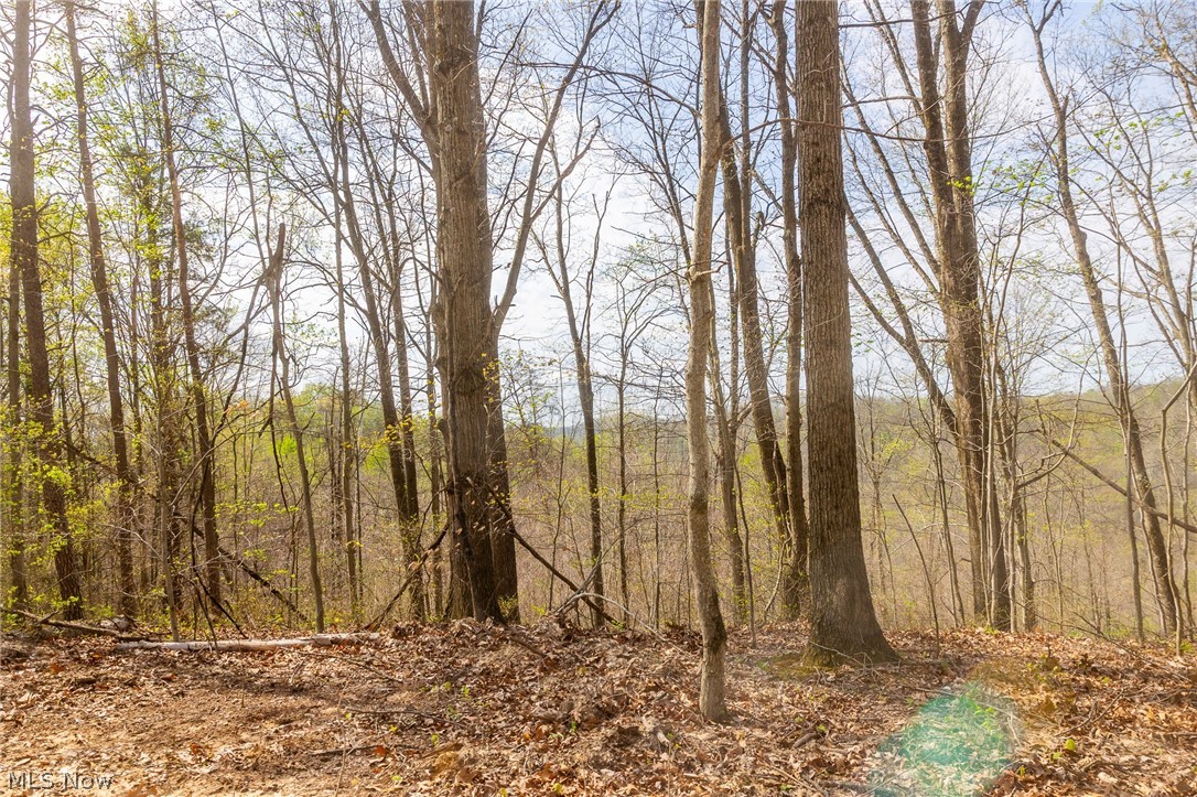 0 Twp Rd 63 Deans Fork Road Whipple OH 45788