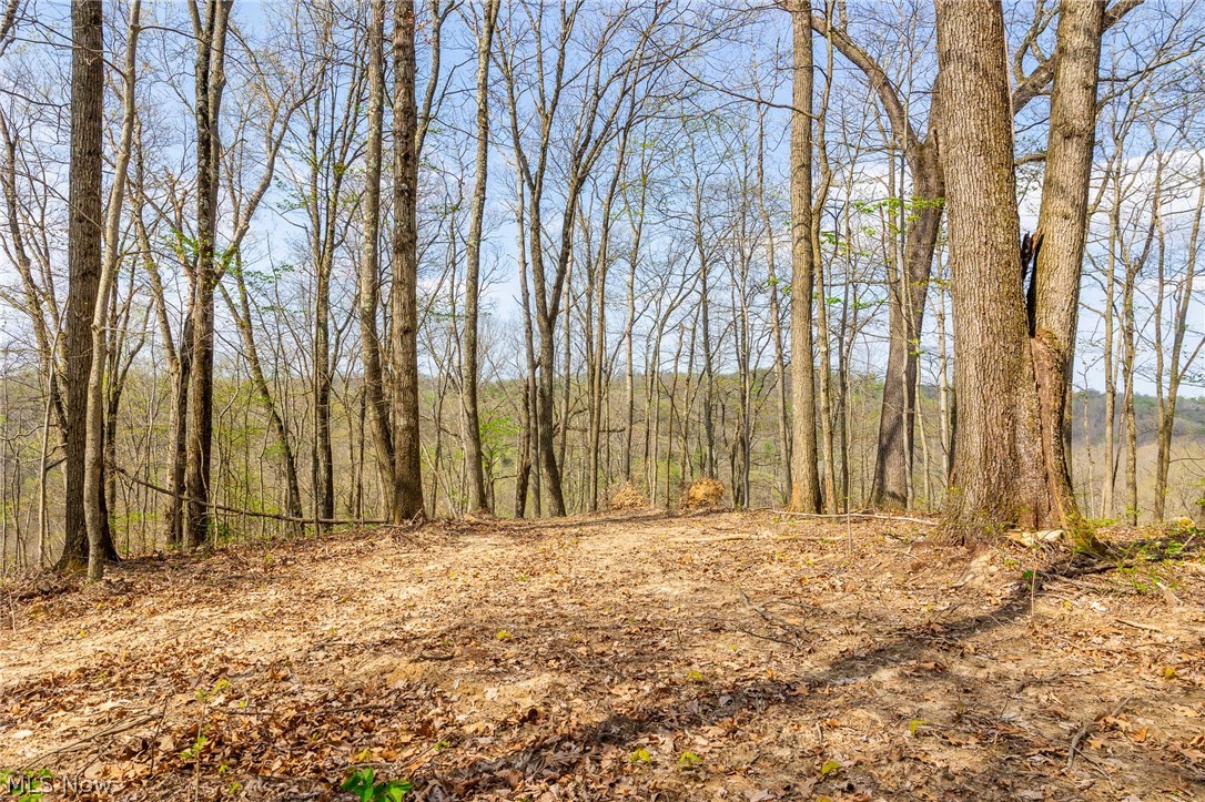 0 Twp Rd 63 Deans Fork Road Whipple OH 45788