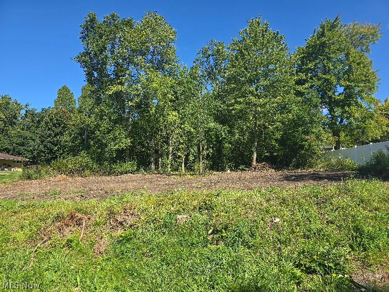 Edgerton Road North Royalton OH 44133